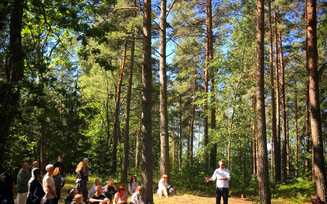 Teaching Among the Trees