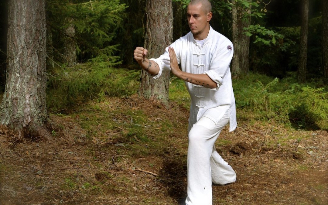 Yang Taijiquan Punching