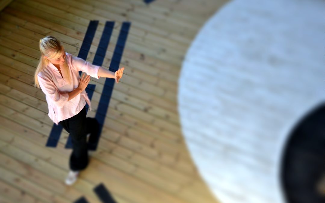 Roni Edlund Baguazhang