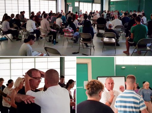 Damo Teaching in America