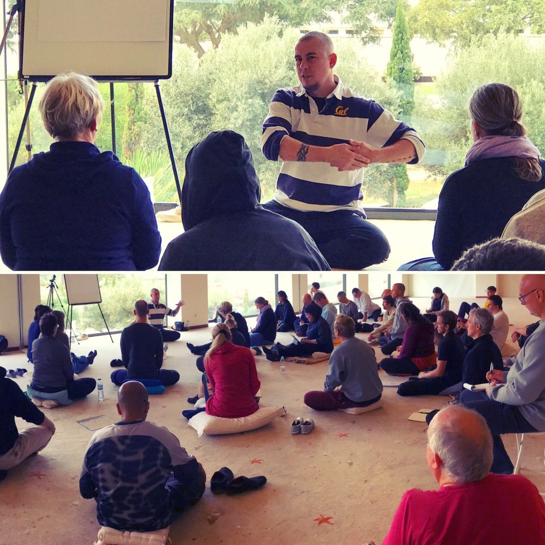 Nei Gong - Damo Mitchell