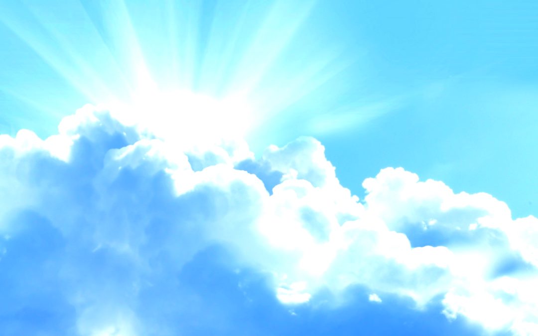 Protected: January – weeks 1 & 2