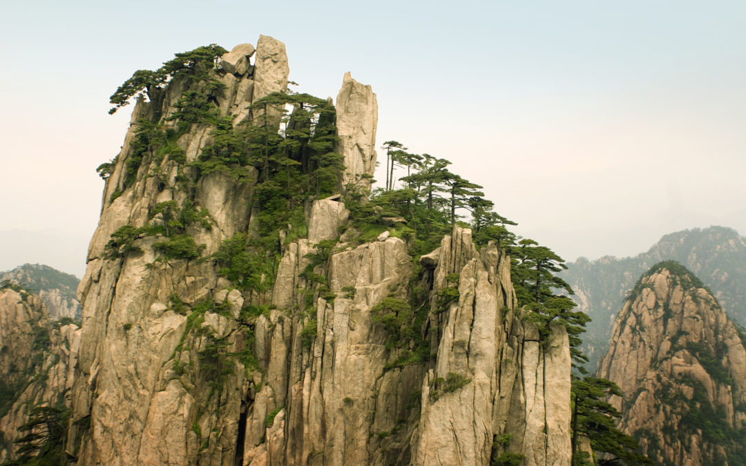 Protected: August – weeks 1 & 2