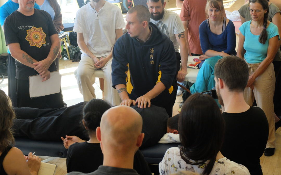 Damo Teaching Medicine Techniques