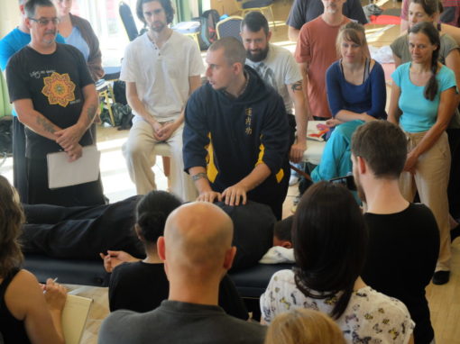 Damo Teaching Medicine Techniques