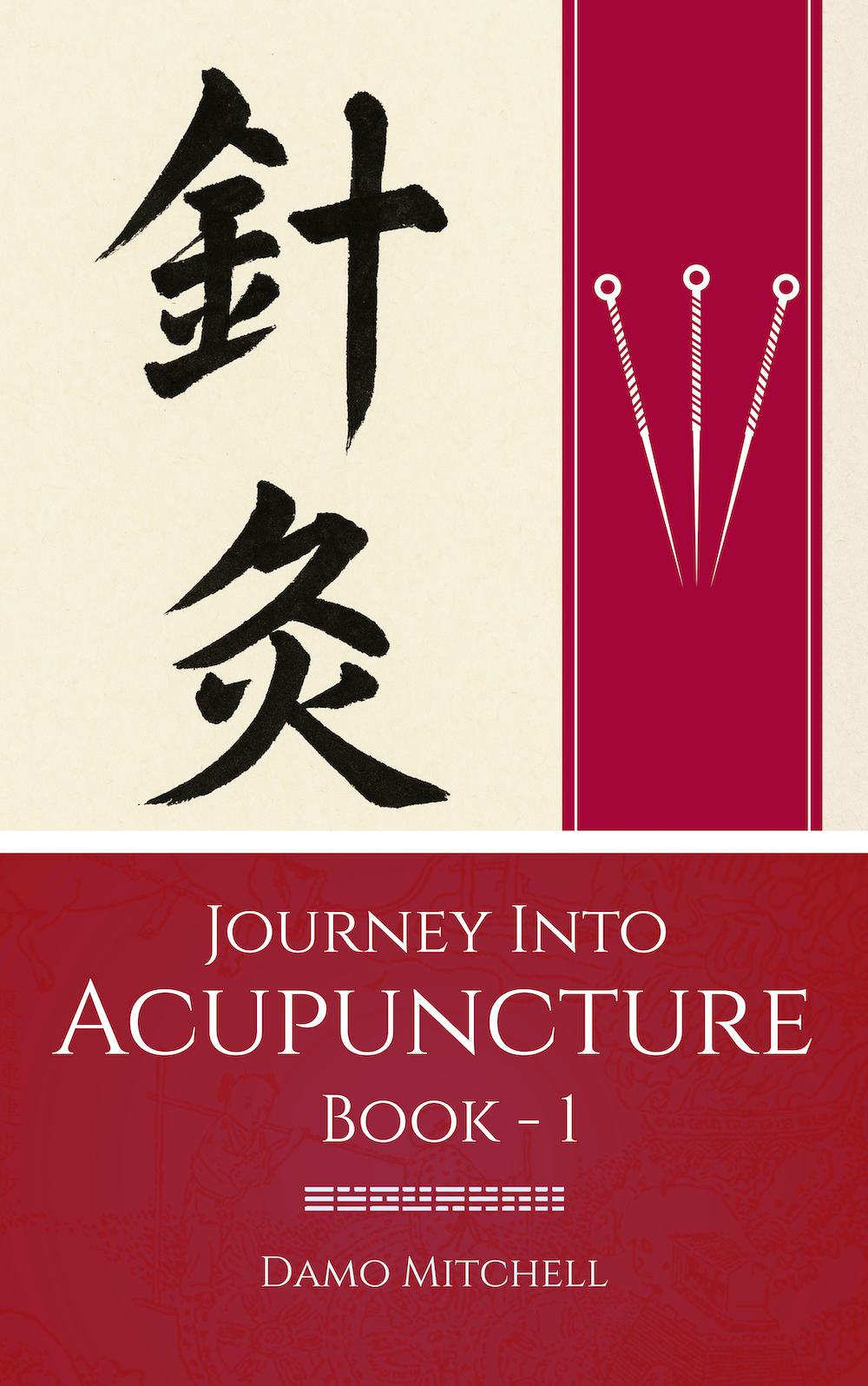 Damo Mitchell Acupuncture