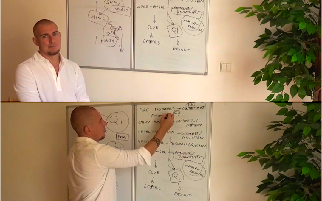 Daoist Theory Lecture