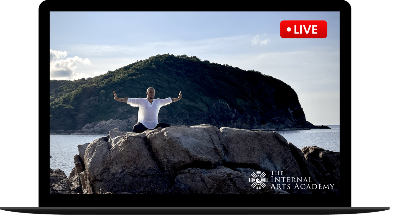 The Internal Arts Academy